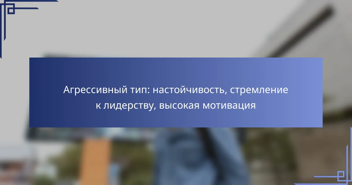 Агрессивный тип: настойчивость, стремление к лидерству, высокая мотивация