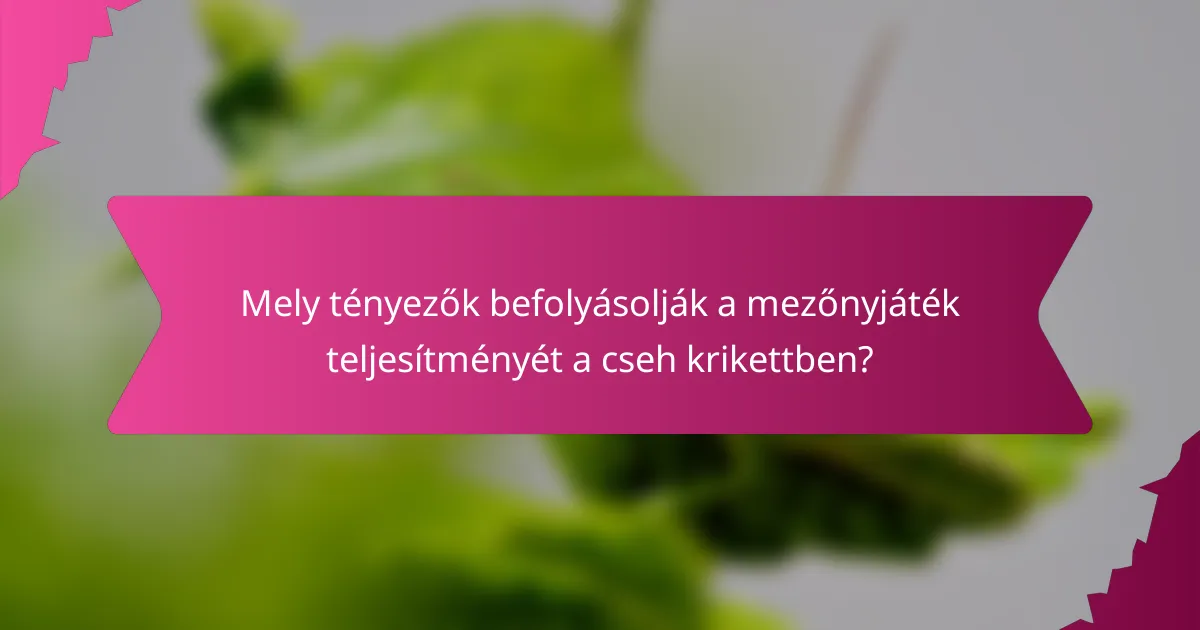 Mely tényezők befolyásolják a mezőnyjáték teljesítményét a cseh krikettben?