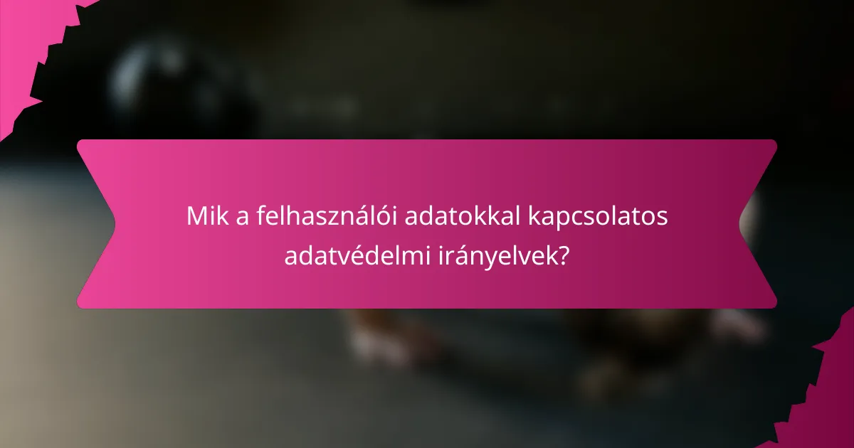 Mik a felhasználói adatokkal kapcsolatos adatvédelmi irányelvek?