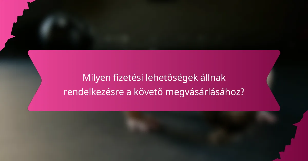 Milyen fizetési lehetőségek állnak rendelkezésre a követő megvásárlásához?